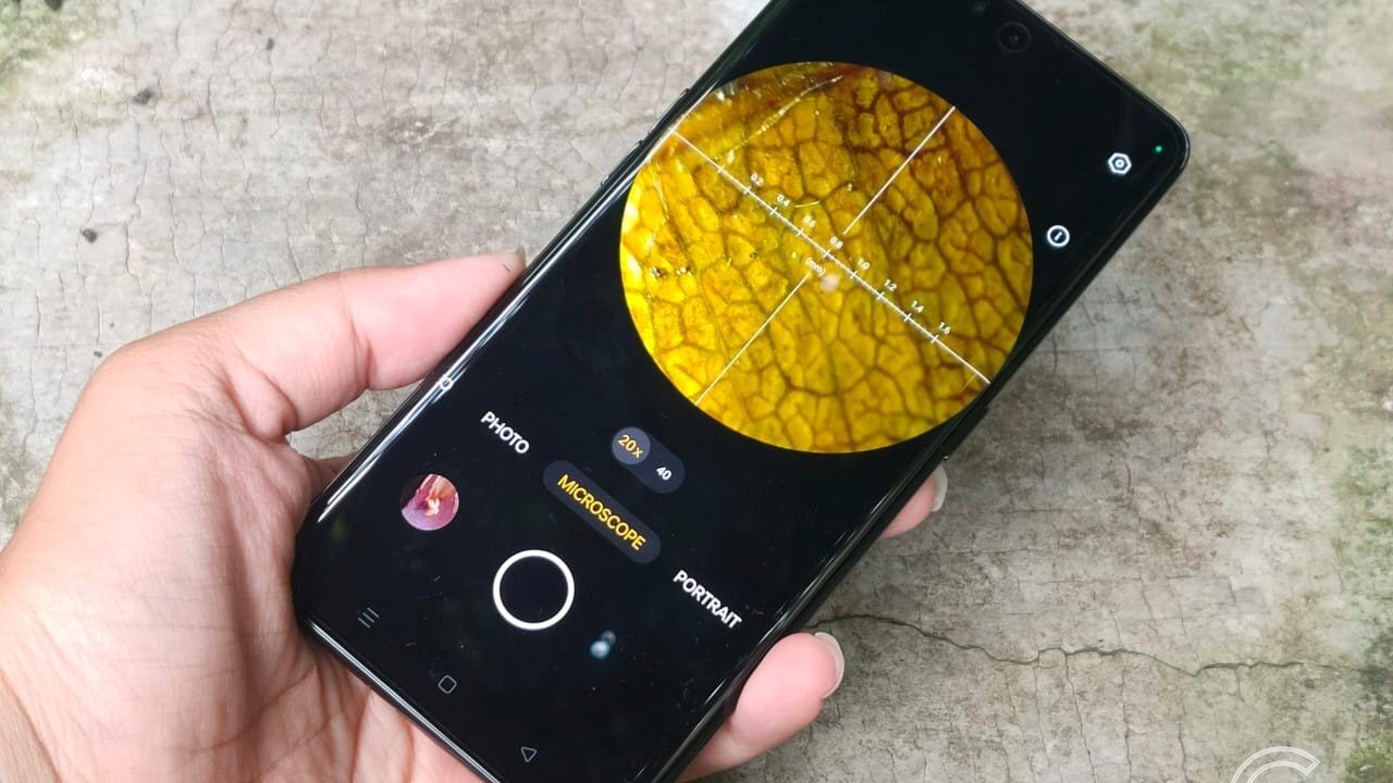 Abadikan Dunia Mikro yang Unik dengan Kamera Microlens OPPO Reno8 T 5G