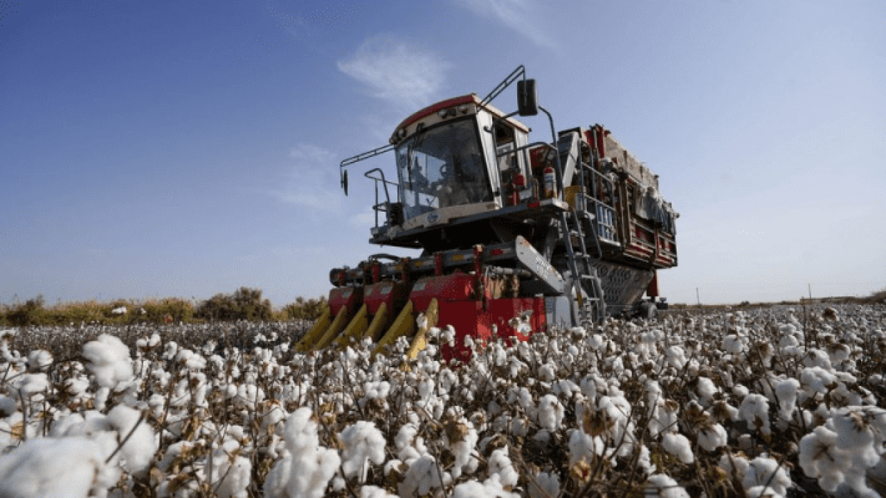 Teknologi pertanian modern fasilitasi penanaman kapas di Xinjiang