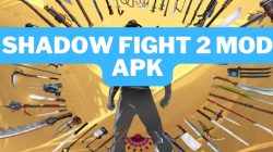 Shadow Fight 2 MOD APK Unlimited Everything and Max Level