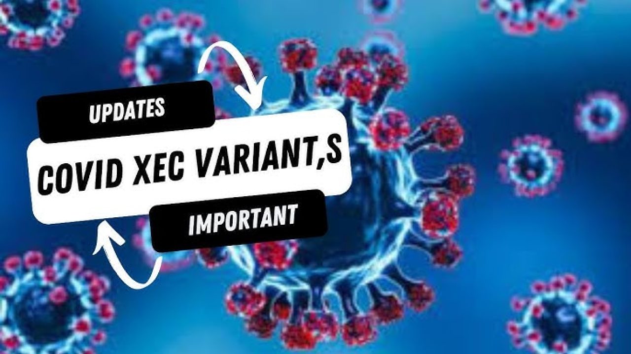 Covid XEC Variant What You Need to Know