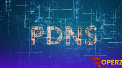 pdns