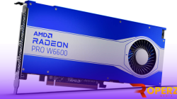 AMD