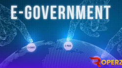 e-government