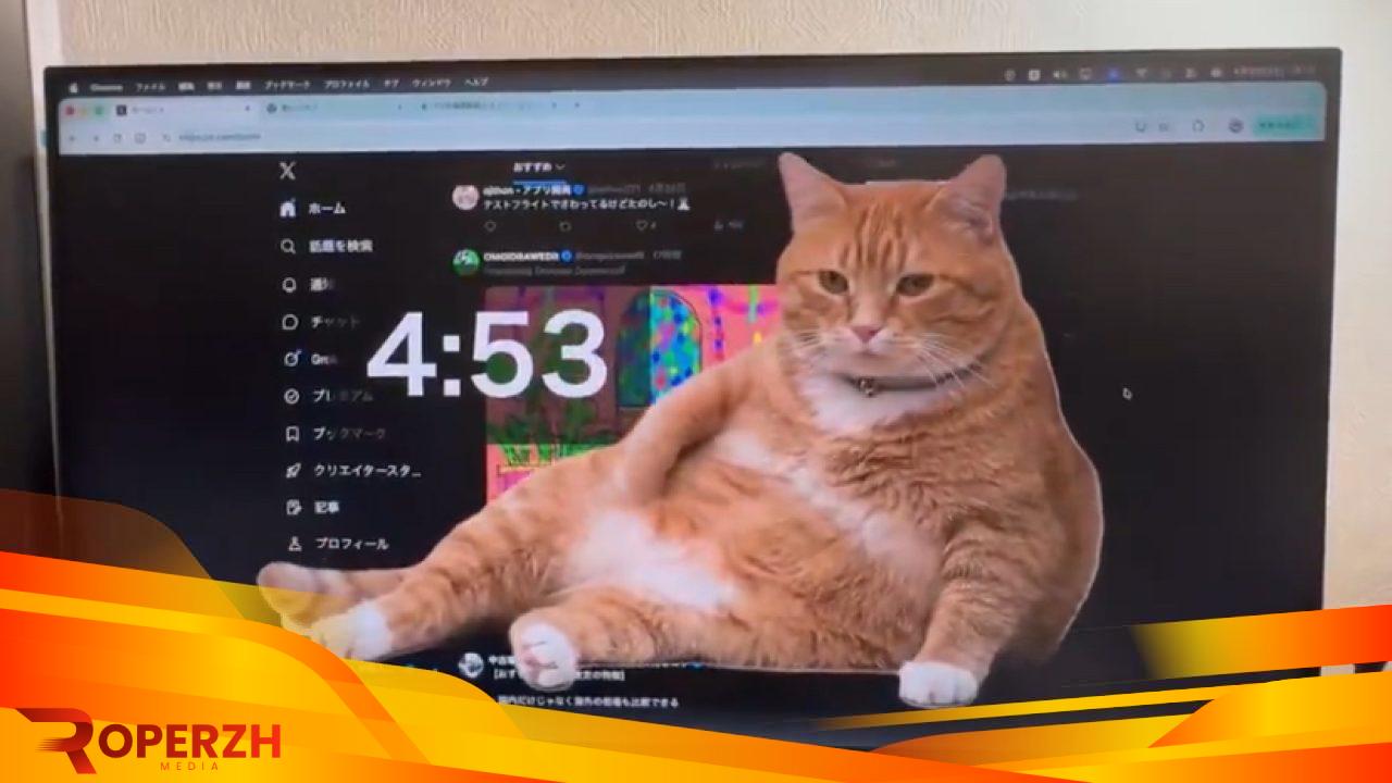 Cat Gatekeeper: Ekstensi Browsing untuk Hentikan Kebiasaan Scroll Medsos 8 qGHUOudCsm