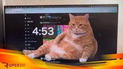 Cat Gatekeeper: Ekstensi Browsing untuk Hentikan Kebiasaan Scroll Medsos 2 qGHUOudCsm