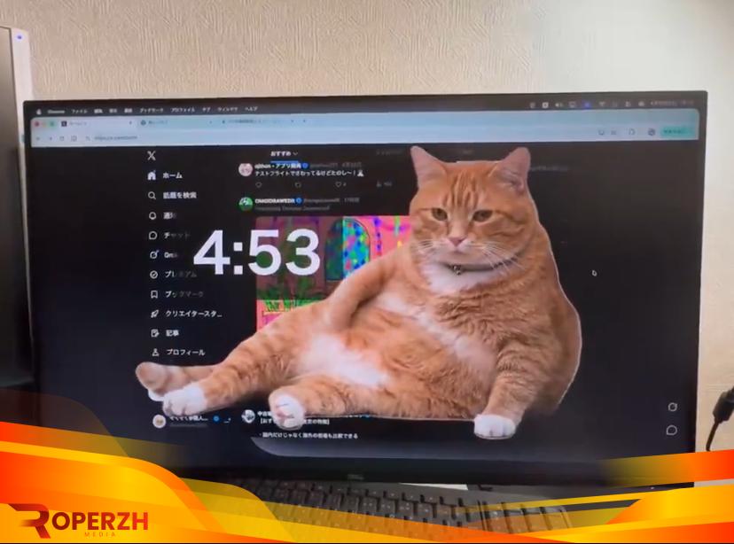 Cat Gatekeeper: Ekstensi Browsing untuk Hentikan Kebiasaan Scroll Medsos 1 qGHUOudCsm