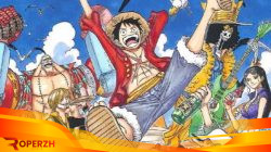 zigi 62a1a4bb3deef one piece 960x640 thumb 1